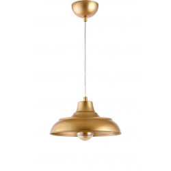 LedDevi Retro Cafe Model Modern Metal Tekli Sarkıt Gold Avize